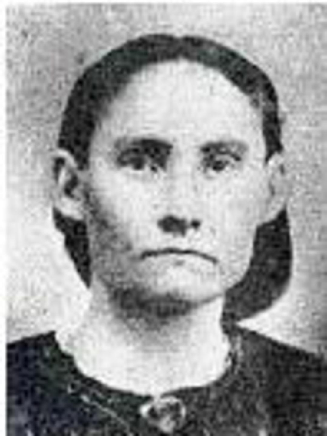 Sarah Elizabeth Henderson (1844 - 1908) Profile